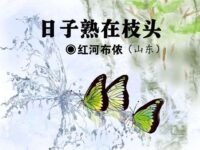 红河布侬：日子熟在枝头