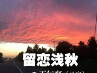 王仁爽：留恋浅秋（散文）