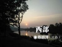 陈丽萍：西部