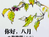 秋铃铛：你好，八月