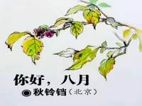 秋铃铛：你好，八月