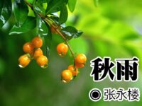 张永楼：秋雨（五律）