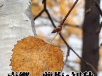 李银刚：南乡一剪梅•初秋