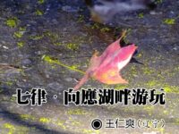 王仁爽：向应湖畔游玩（七律）