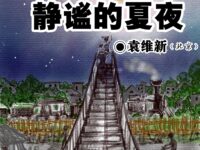 袁维新：静谧的夏夜