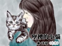 诗凝：坠楼的小猫