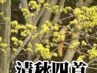 张永楼：清秋四首