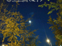 王仁爽：月是故乡明（散文）