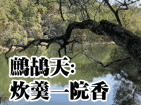 陈丽萍：鹧鸪天•炊羹一院香