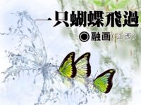 融画：一只蝴蝶飞过