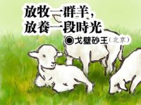 戈壁砂王：放牧一群羊，放养一段时光