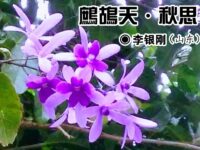 李银刚：鹧鸪天•秋思