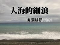 袁维新：大海的细浪