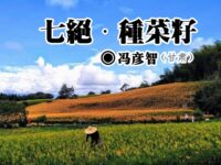 冯彦智：种菜籽（七绝）