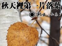 云水：秋天里第一片落叶