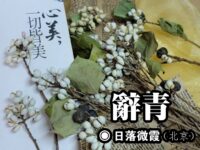 日落微霞：辞青