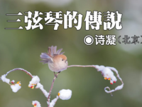 诗凝：三弦琴的传说