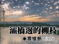 袁维新：灞桥边的柳枝
