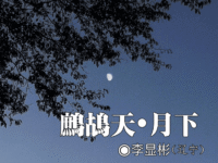 李显彬：鹧鸪天•月下