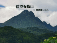 林武刚：遥望五指山（外二首）