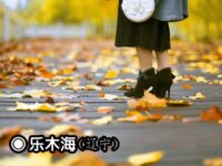 乐木海：落叶（三首）