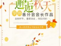 华协各分会会长“走秀”：邂逅秋天