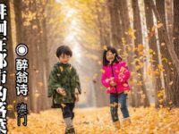 醉翁诗：徘徊在都市的落叶