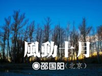 邵国阳：风动十月