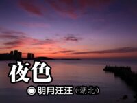 夜色/明月汪汪