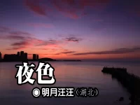 夜色/明月汪汪