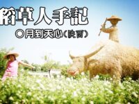 稻草人手记/月到天心