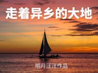 走着异乡的大地/明月汪汪