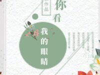 当你看我的眼睛/清秋