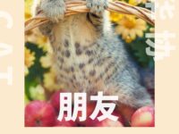 朋友/老刀客（外一首）