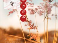 落叶的操守/给力