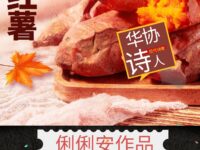 一根红薯/俐俐安