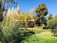 清依：钗头凤•秋色