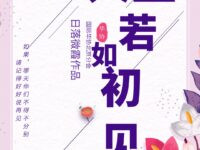 人生若如初见/日落微霞