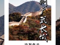 朔州广武长城/诗凝