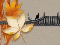 起风的夜里/慕尧玲玲