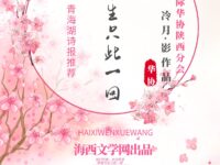 我们的爱，今生只此一回/冷月•影