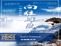 向往雄鹰/诗凝