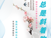 风总是斜着吹/盈子