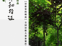 塞上绿都：绿的演绎和指证