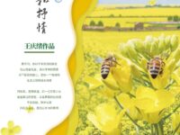 朔州：千年的述说和抒情/王庆绪