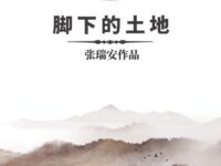 脚下的土地/张端安