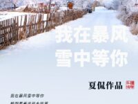 我在暴风雪中等你/夏侃