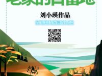 老家的自留地/刘小瑛