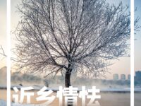 近乡情怯/邵国阳