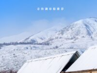 我在等落雪画脚印/戈壁驿站
